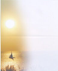 Sujet Schiff