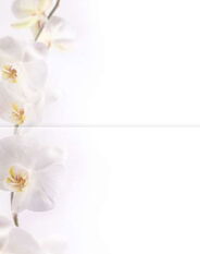 Sujet Orchidee