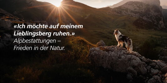 Naturbestattung