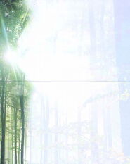 Sujet Wald